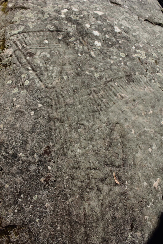 Foto de Petroglifos do Castriño de Conxo en Santiago de Compostela