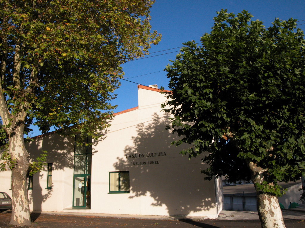 Foto de Casa da Cultura. Museo Nelson Zumel en Baltar