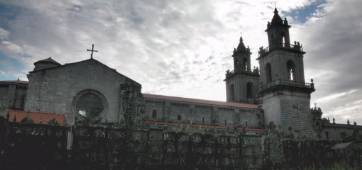 Foto de Lapidarium del Monasterio de Oseira en San Cristovo de Cea