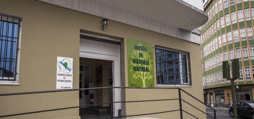 Foto de Museo da Historia Natural da SGHN en Ferrol