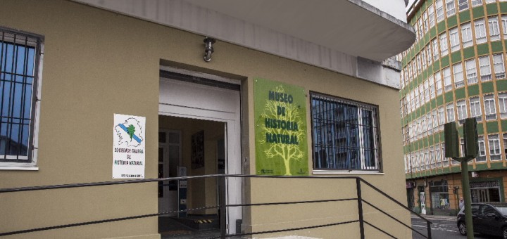 Foto de Museo da Historia Natural da SGHN en Ferrol