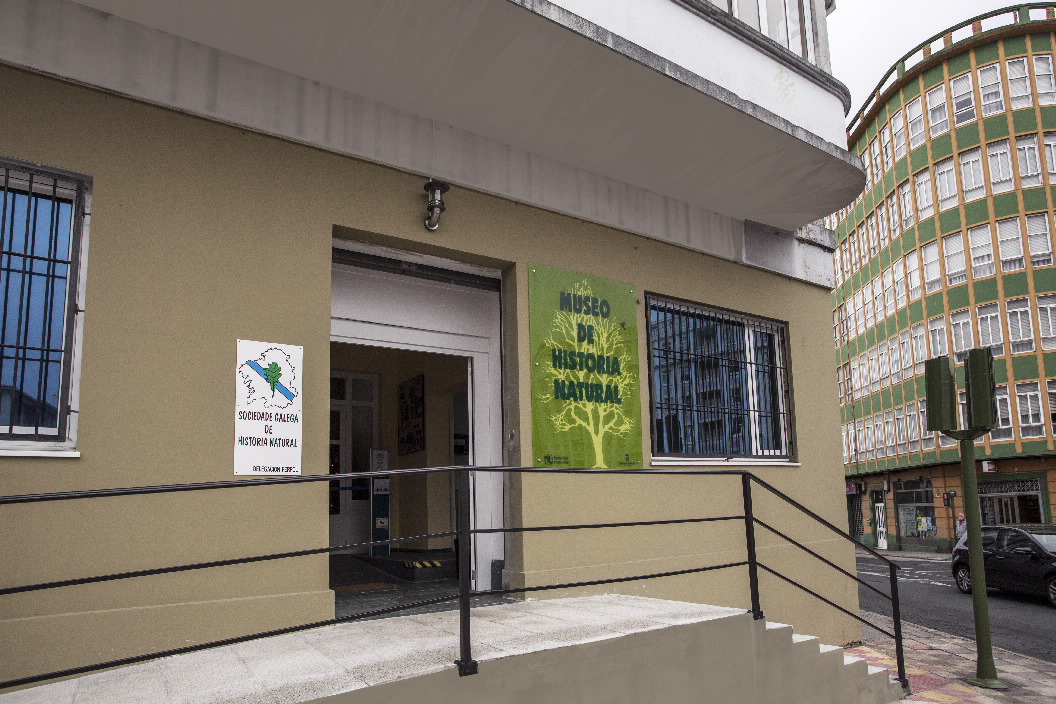 Foto de Museo da Historia Natural da SGHN en Ferrol