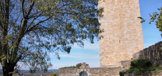 Foto de Museo Torre da Homenaxe en Monforte de Lemos