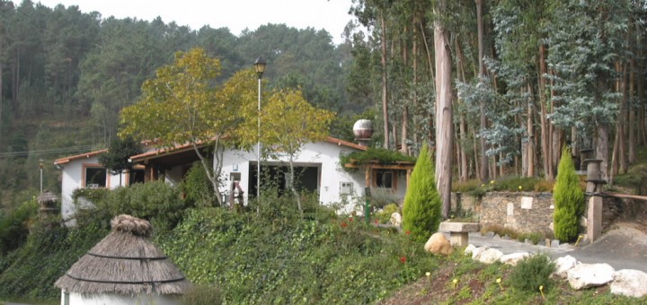 Foto de Museo Vivente Do Mel en Arzúa