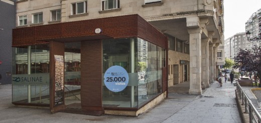 Foto de Salinae. Centro Arqueolóxico do Areal en Vigo