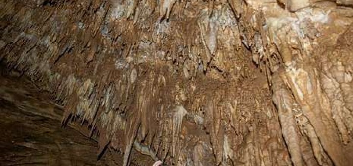 Foto de estalactitas en la Cueva Tralacosta en Quiroga, en la sierra do Courel