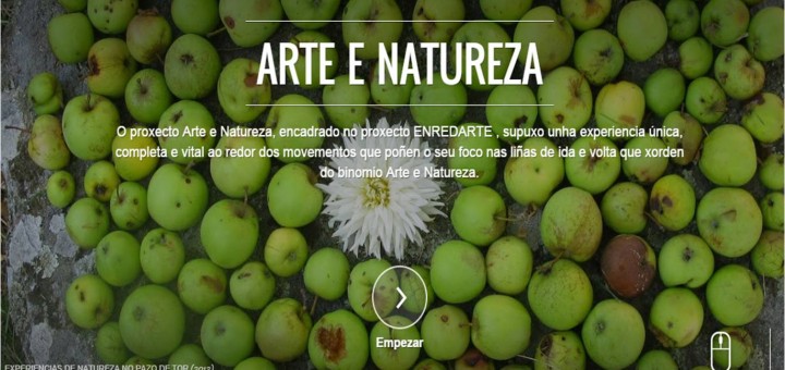 Foto de la Exposición "Arte e Natureza" del Museo de Lugo en la Google Open Gallery