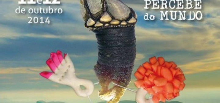 Cartel de la XVI Festa do percebe en Cedeira