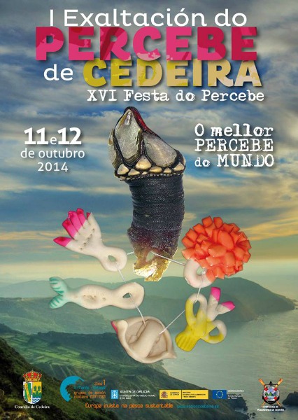 Cartel de la XVI Festa do percebe en Cedeira