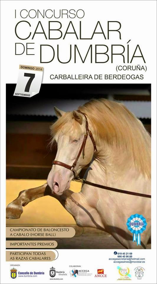 Cartel del I Concurso Cabalar Dumbría